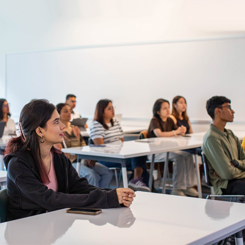 Career Advisor meeting with student